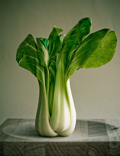 食材 青菜