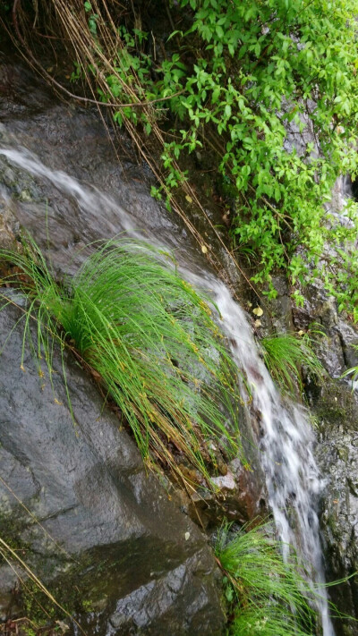 自然风景，青山与绿水你爱吗？手机随拍