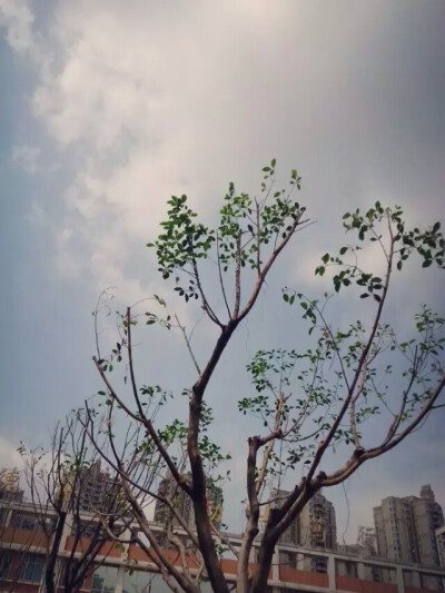 三年青春九年时光总得留点纪念by素年锦夏【璇子