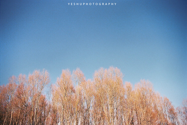 大理的冬天。 photo by @摄影师叶树