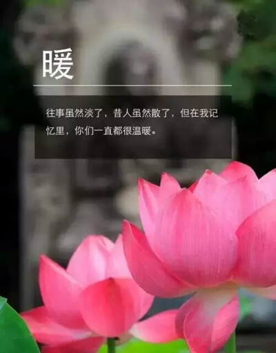 暖人心