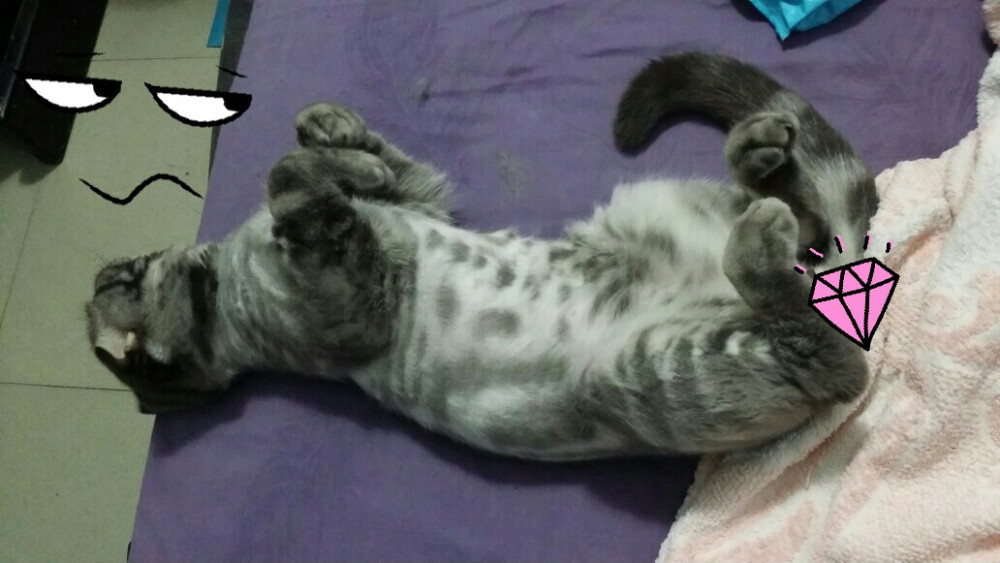 睡姿越来越难拿。