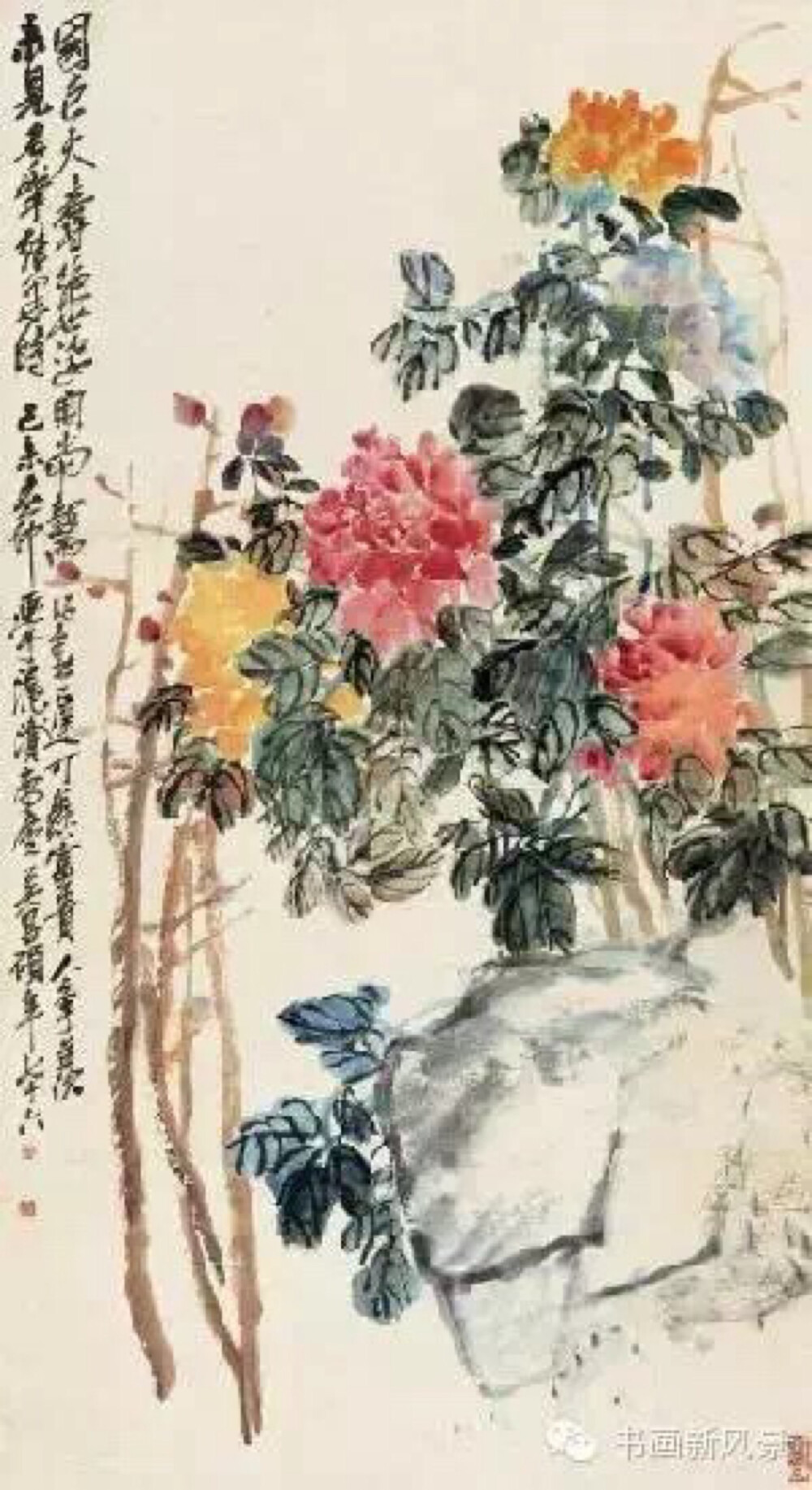 吴昌硕 富贵牡丹 1919年作 吴昌硕晚年较多画牡丹，花开烂漫，以鲜艳的胭脂红设色，含有较多水分，再以茂密的枝叶相衬，显得生气蓬勃。《富贵牡丹》画面右侧，巨石之上，几株牡丹绽放盛开。花朵艳丽，红黄相间，光彩夺目，硕大的花朵在枝壮叶茂的映衬下显得风姿绰约，左侧矗立几枝含苞待放的牡丹，与之形成视觉上的鲜明对比。此幅牡丹以单纯朴厚的笔法，大写意出花卉与奇石；复色运用酣畅自如，丰富的灰色层次使画面的张力得以增强，苍茫浑厚之气蓬勃而出。