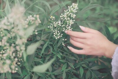 芒种初过雨及时，纱厨睡起角巾欹。痴云不散常遮塔，野水无声自入池。