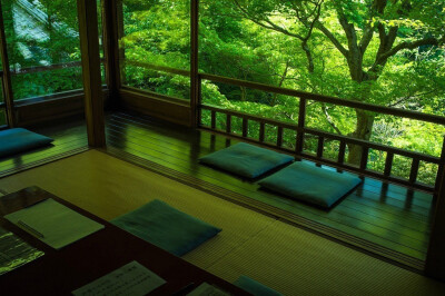 夏日 日本庭院 绿色 旅行 静美