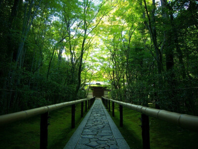 夏日 日本庭院 绿色 旅行 静美