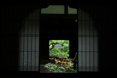 夏日 日本庭院 绿色 旅行 静美