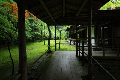 夏日 日本庭院 绿色 旅行 静美