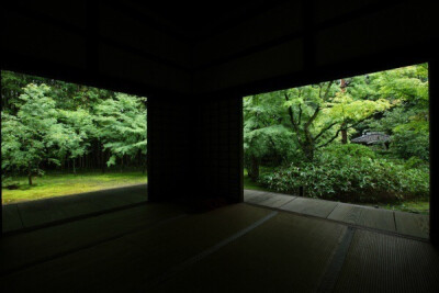 夏日 日本庭院 绿色 旅行 静美