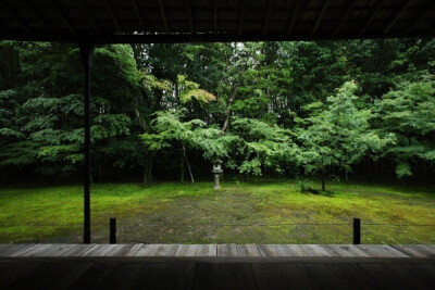 夏日 日本庭院 绿色 旅行 静美