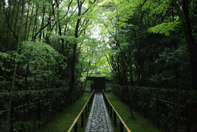 夏日 日本庭院 绿色 旅行 静美