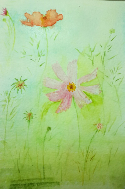 水彩花卉 原创渣画