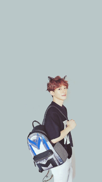 【金钟大Chen 宠物男友系】 EXO 萌宠 壁纸 帅哥 服饰 手包、书包、提包 《我的邻居是EXO》《In The Heights》