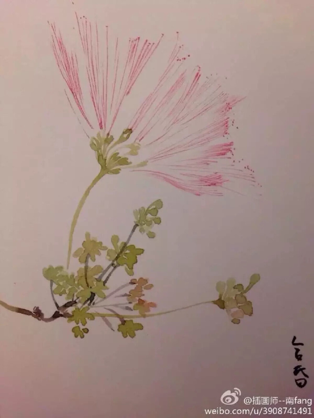 巨大的合欢树开出绒球似的花，金色晨光自叶间滑落，洋洋洒洒落在蚕丝拧成的七根弦上。