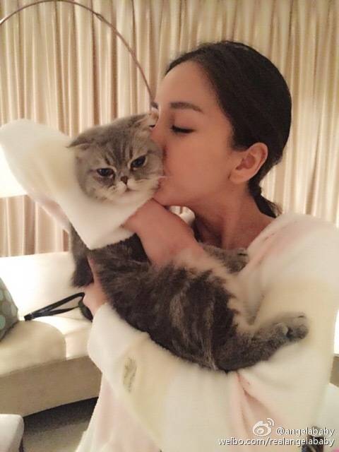 angelababy