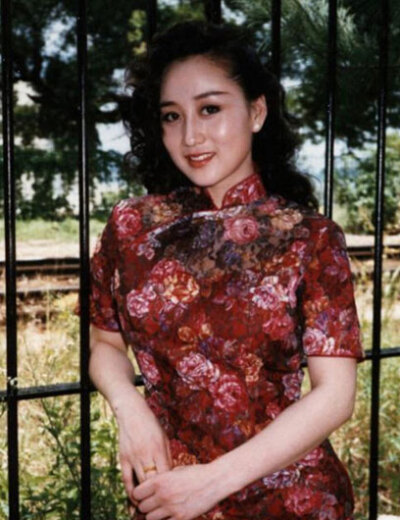  利智(Nina Li Chi），1961年12月31日出生于上海，1981年随父移居香港。中国香港女演员，1992年宣布退出演艺圈。 1983年赴美国旧金山大学攻读商业经济学，开始了留学生涯。1986年回到香港，参加亚洲小姐选举获冠军…