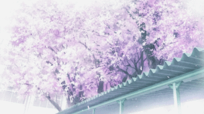 樱花烂漫