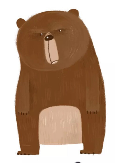 bear