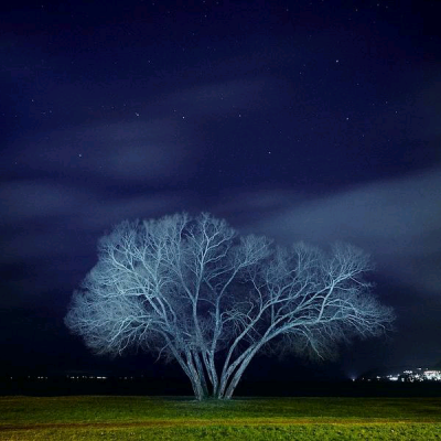 有人问摄影师Patrik Svedberg，“一棵树会有什么样的故事？”于是Patrik Svedberg 从2013年起，开始用相机和摄像机记录瑞典湖边的一棵树。天有白昼，树有四季，人在时间流逝中被记录。照片拍得美极，而这件记录的事…