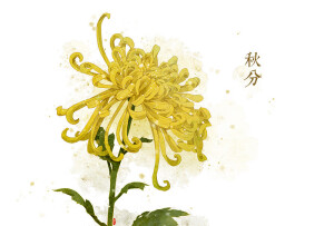 秋分