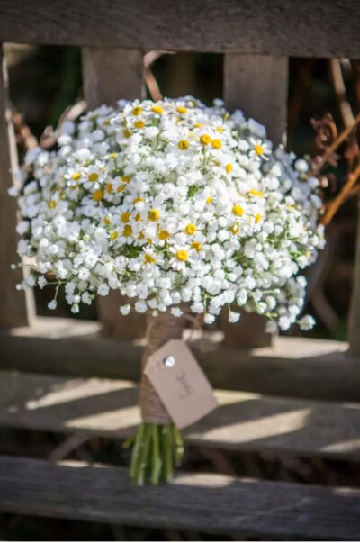 野雏菊 花 手捧花 安静