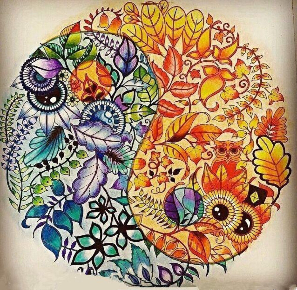 秘密花园【COLLECT】