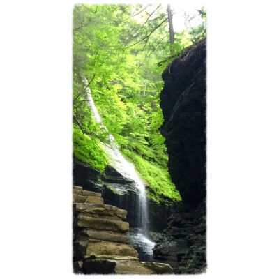 Watkins Glen State Park