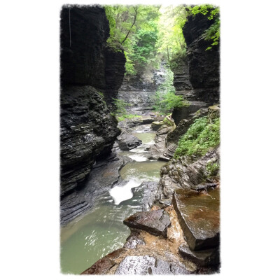 Watkins Glen State Park