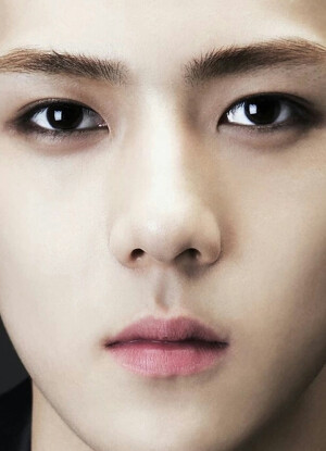  EXO 相爱吧！WE ARE ONE!   KRIS  LUHAN  LAY张艺兴 XIUMIN金珉硕 CHEN金钟大 TAO    K SUHO金俊勉 KAI金钟仁 D.O度庆洙 BAEK HYUN边伯贤 SEHUN吴世勋 CHAN YEOL朴灿烈  from.Alexia孙承冬 图源见logo