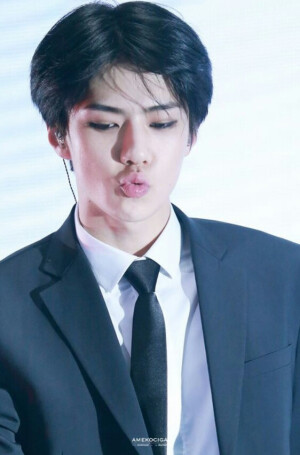  EXO 相爱吧！WE ARE ONE!   KRIS  LUHAN  LAY张艺兴 XIUMIN金珉硕 CHEN金钟大 TAO    K SUHO金俊勉 KAI金钟仁 D.O度庆洙 BAEK HYUN边伯贤 SEHUN吴世勋 CHAN YEOL朴灿烈  from.Alexia孙承冬 图源见logo