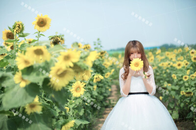 洛阳他她摄影在这个炎炎夏日，带来凉凉清爽感觉