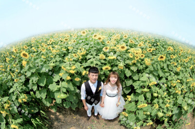 洛阳他她摄影在这个炎炎夏日，带来凉凉清爽感觉