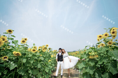 洛阳他她摄影在这个炎炎夏日，带来凉凉清爽感觉