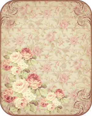 铁皮盒子里的卡片——（2）