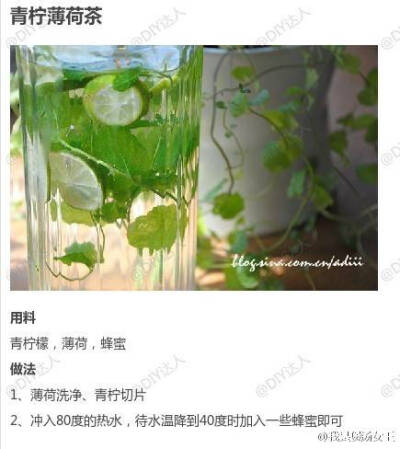 『青柠薄荷茶』 【薄荷的9款不同做法合集】小清新薄荷，小清新甜品零食，看的心都醉了呢~