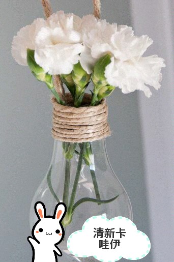 灯泡盆栽，既可以当装饰挂在墙上，又可以当礼物送给别人。