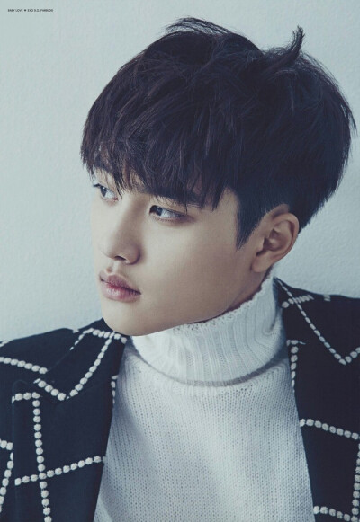 EXO D.O 暻秀