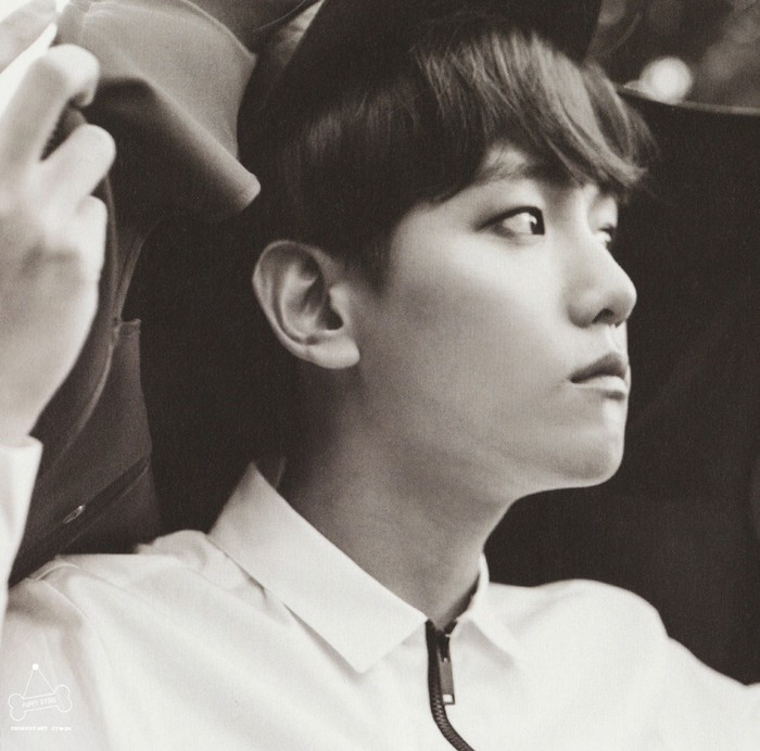 EXODUS EXO伯贤BAEKHYUN