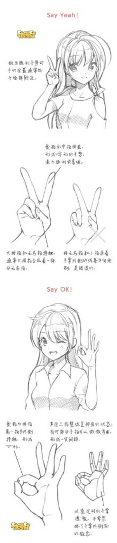 【绘画教程】漫画中手的画法 详细实用 漫画手绘教程