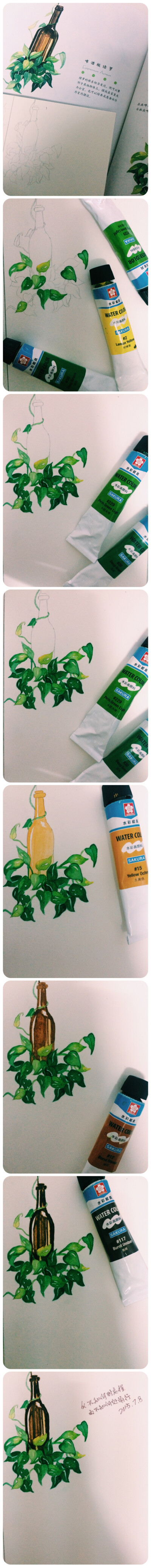 2015.7.8啤酒瓶绿箩 水彩步骤