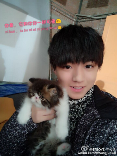 如果小凯这样说，你会不会被暖到~