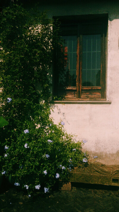 日系☆清新风☆文艺☆墙纸☆风景