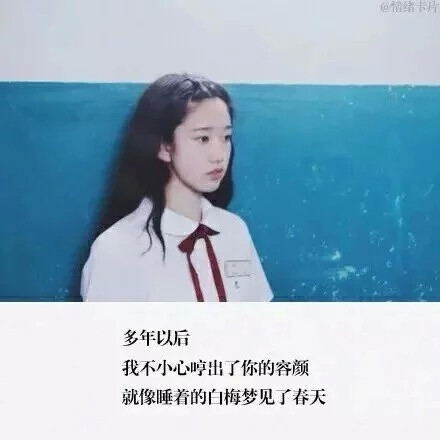 我一直在这里 等风也等你