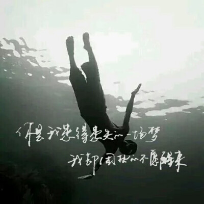 【十七】手写，图片，文字。