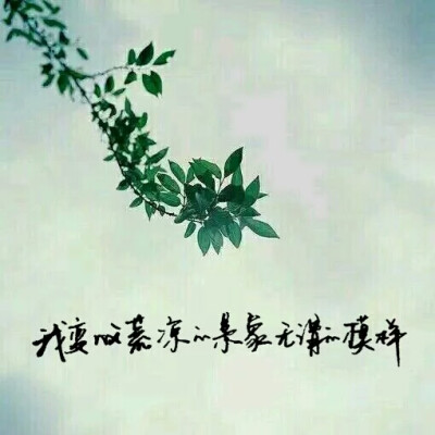 【十七】手写，图片，文字。