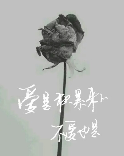 【十七】手写，图片，文字。
