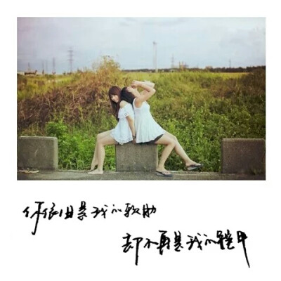 【十七】手写，图片，文字。