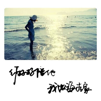 【十七】手写，图片，文字。