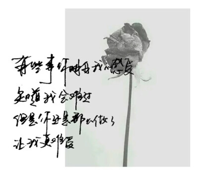 【十七】手写，图片，文字。