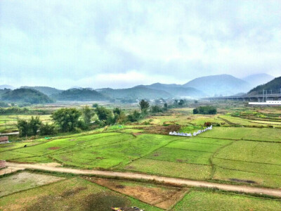 那座山，那片田地，那条路